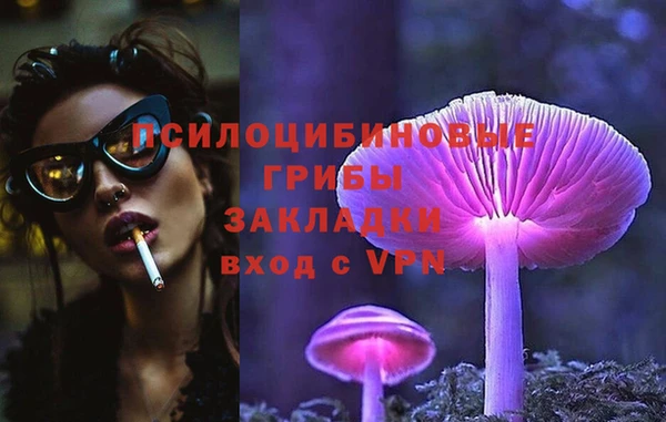 PSILOCYBIN Бородино